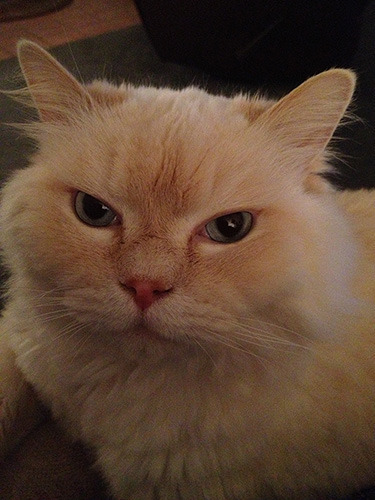 He is really striking!