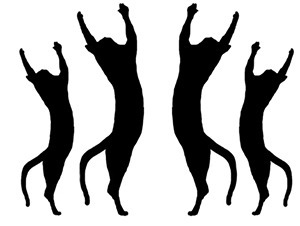 CelebrateCats