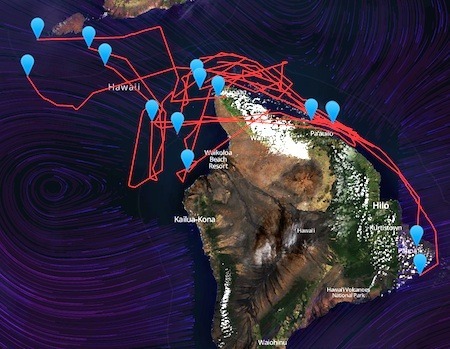 whale-traces