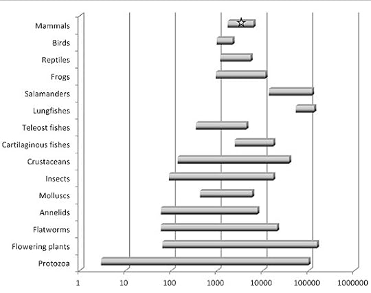 From Palazzo and Gregory, PLOS Genetics 2014