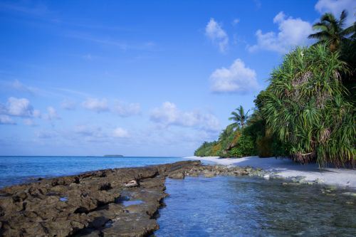 Island Saga