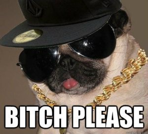 PuG Bitch Face