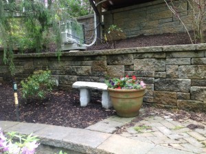 A favorite shady spot