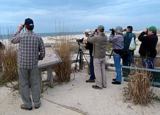 CMMeadowsDuneTeam