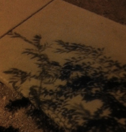 The long shadow doesn't have to haunt you.