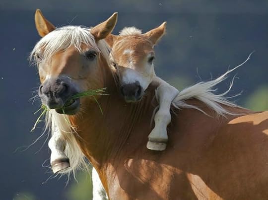 Happy Mother's Day!