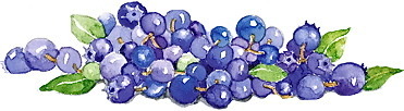 blueberries