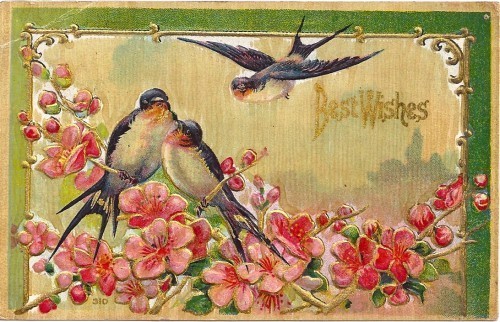 happy spring
