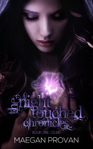 The Night Touched Chronicles Book Cover