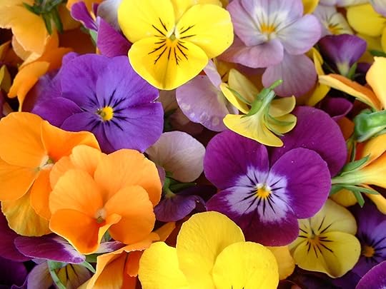 pansies