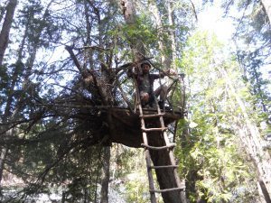 Christopher Treehouse