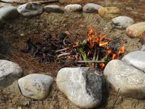 Burning Crowns