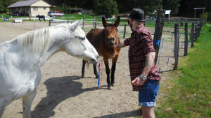 Horse Friends