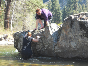 Rock Progress Two