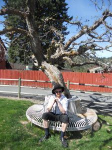 Big Tree