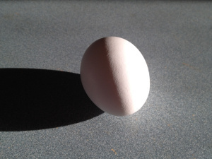 Not this egg-gain.