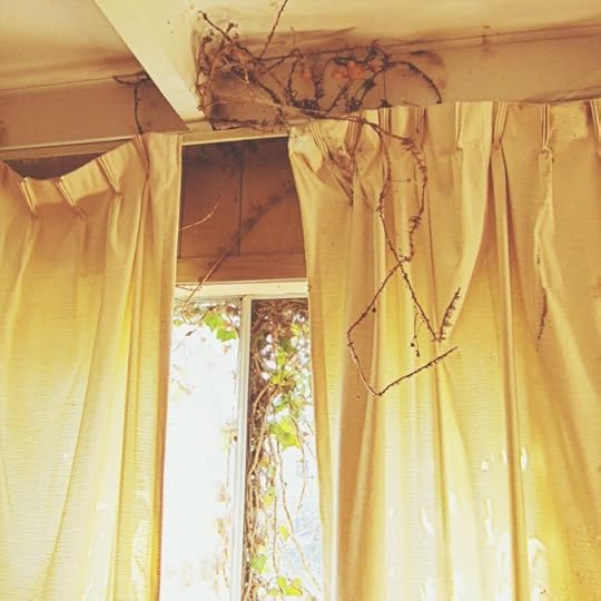 motel-window-web