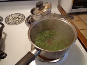 place in cold water, boil, drain, repeat twice more