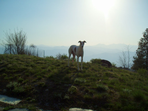 Kartouche' July 6, 2007 - April 30, 2014