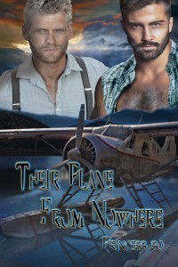 TheirPlaneFromNowhereFS