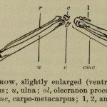 Jesse Sublett, author, public speaker, blues singer