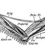Jesse Sublett, author, public speaker, blues singer