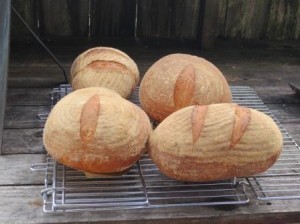 Batards and Boules