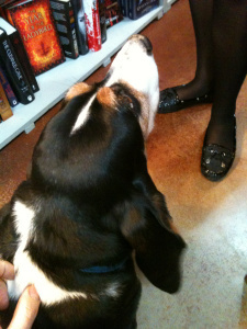 Here's Judd waiting for some attention from my friend Ruth Daniell.