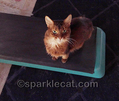 Excuse me, but I'm using the step right now!