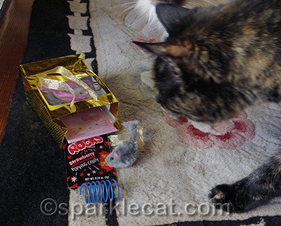 Binga couldn't wait to play with the mousie!