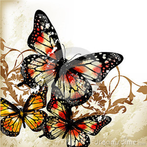 butter flies