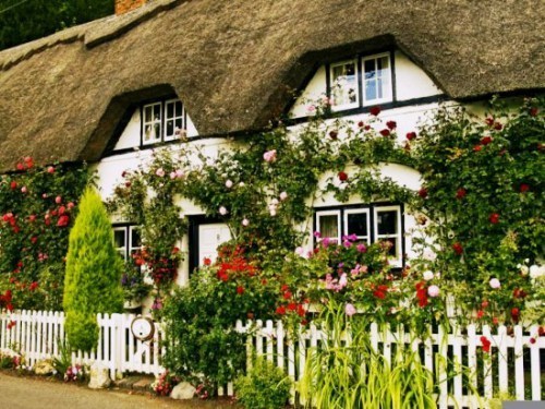 English Cottage Garden