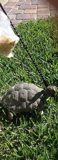 photo_3 (6)