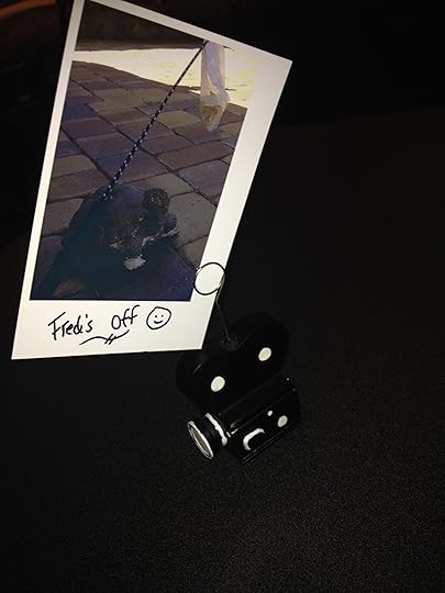 photo_3 (7)