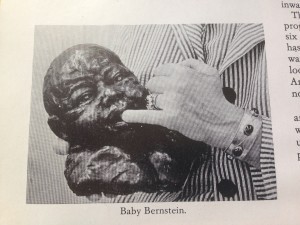 baby bernstein