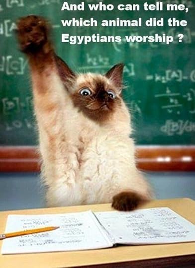 Egyptian cat funny