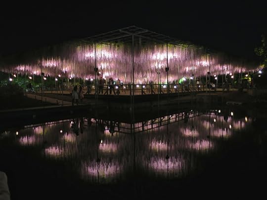 Here's the entire plant at night, reflected in a nearby pond!