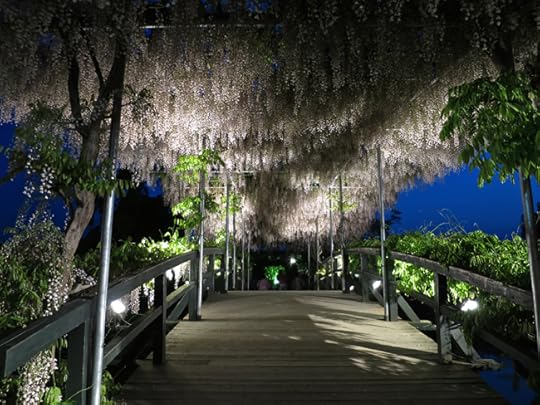 White ones, over a bridge at twilight