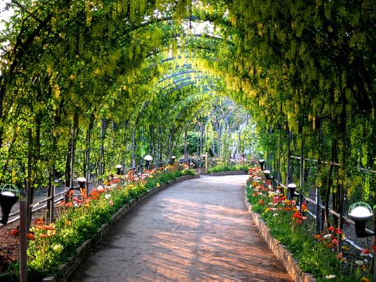 Yellow ones, trained to make a tunnel