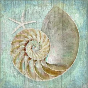 Nautilus