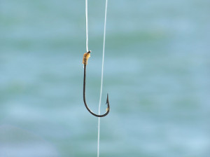 hook
