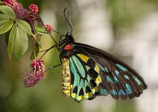 www.istockphoto.com