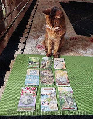 If you know anything about Tarot, you will know this is an intense looking spread!