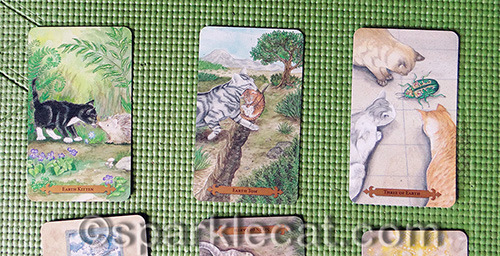The first three cards in the spread