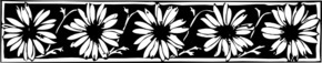 Daisy Border