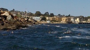 Windy Day