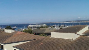 Portola View