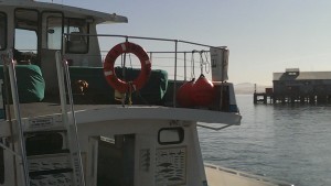 Sea Wolf II