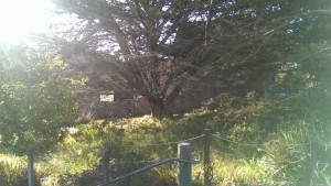 Vacant Lot