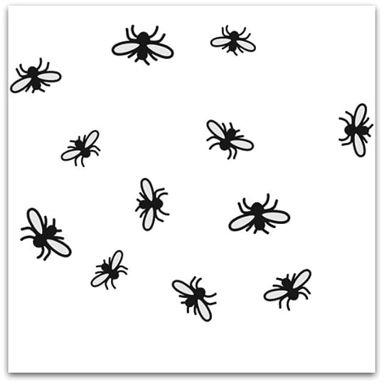 What is the purpose of a gnat?